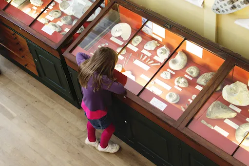 Girl at a Museum